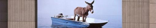 detail of outdoor painting of donkey on a boat