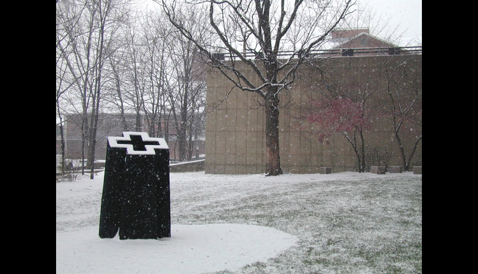 David Nash, Box Cross (2002)