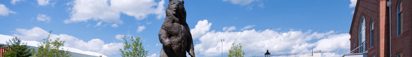 statue of a bronze bear in the grass on a sunny day