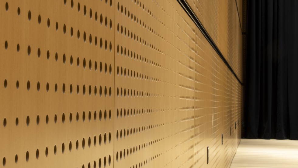 Closeup view of the wall acoustic wood paneling 