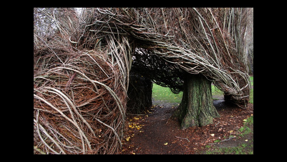 Patrick Dougherty, Square Roots (2007)