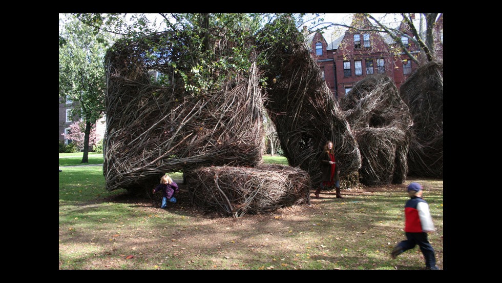Patrick Dougherty, Square Roots (2007)