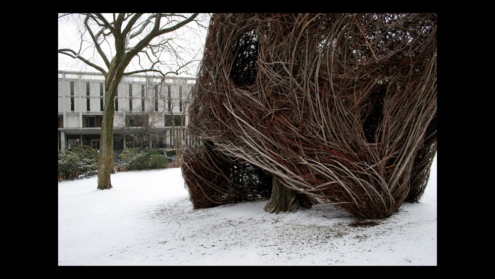 Patrick Dougherty, Square Roots (2007)