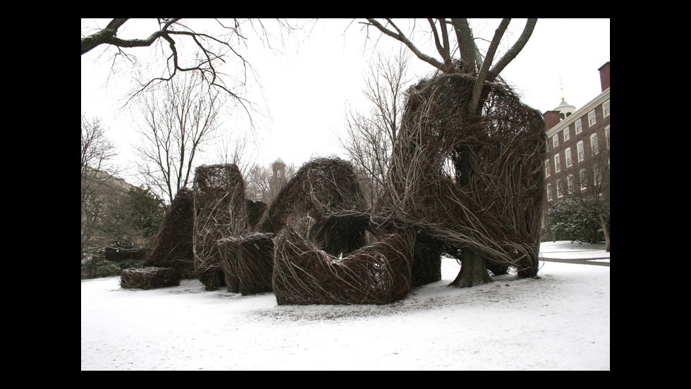 Patrick Dougherty, Square Roots (2007)